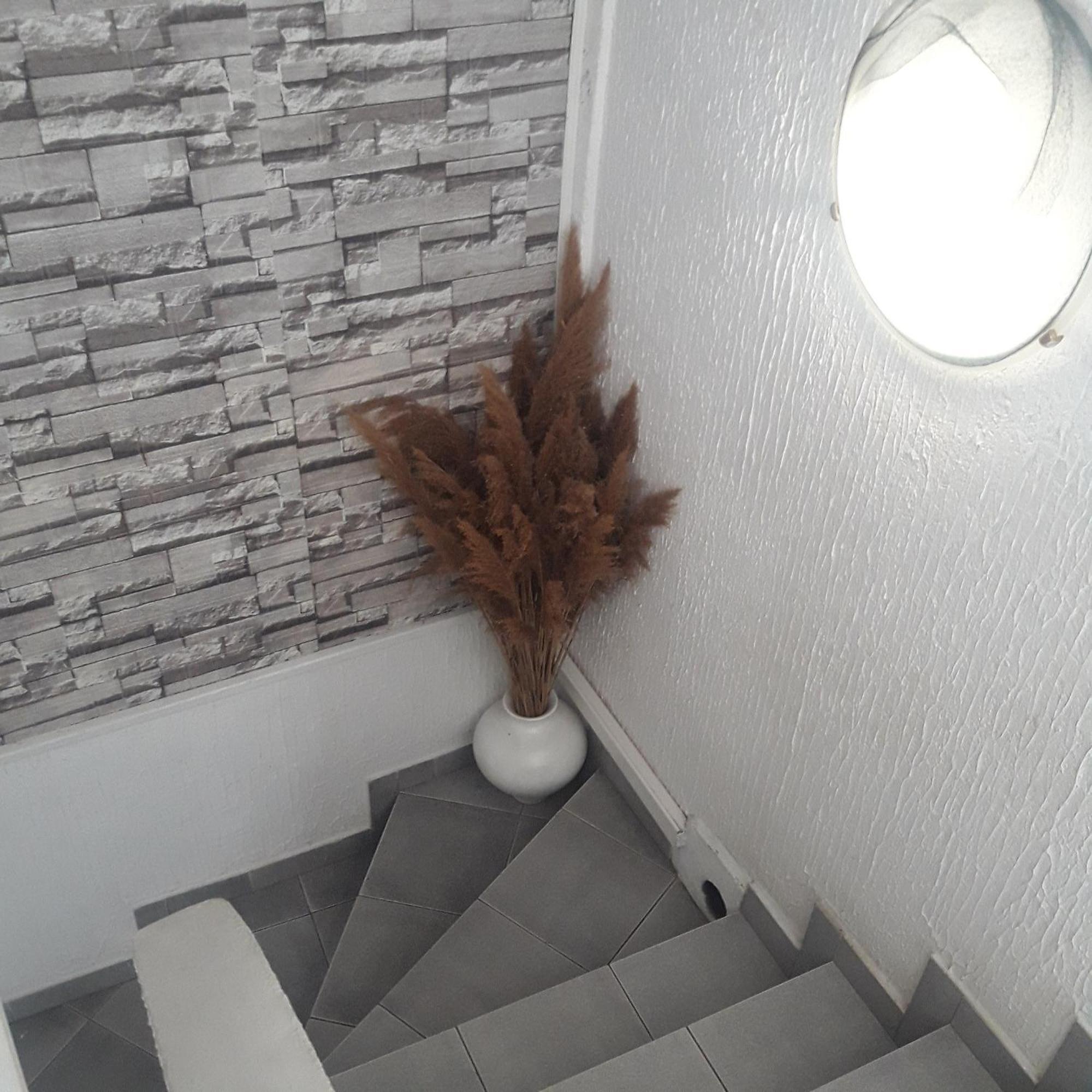 Apartmani Ni מראה חיצוני תמונה